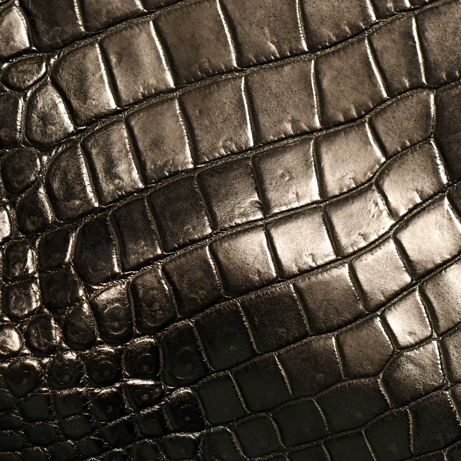 Crocodile Traders Saltwater Crocodile