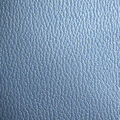 Bleu Vista